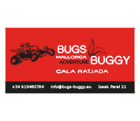 Bugs Buggy